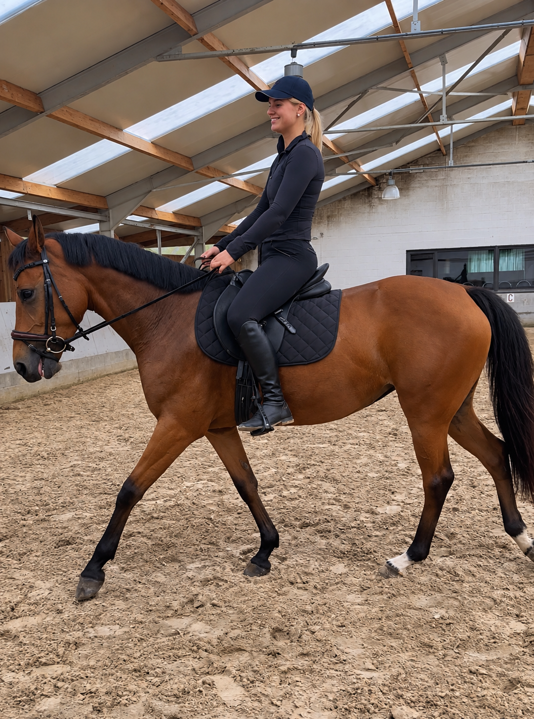 allrounder merrie 5 anni bruin in vendita - Foto 6