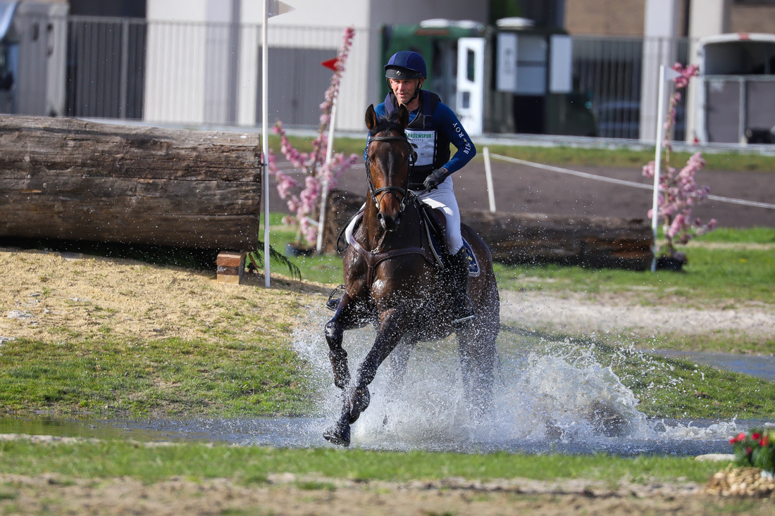 ander eventingpaard ruin 6 år donkerbruin till salu - Foto 2