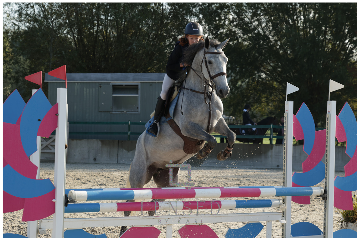 Poni D de 5 años en venta