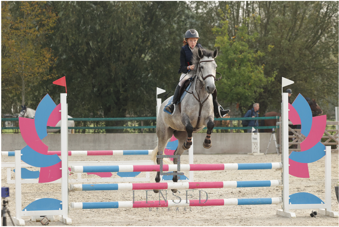 bwp springpony merrie 5 años schimmel en venta - Foto 3