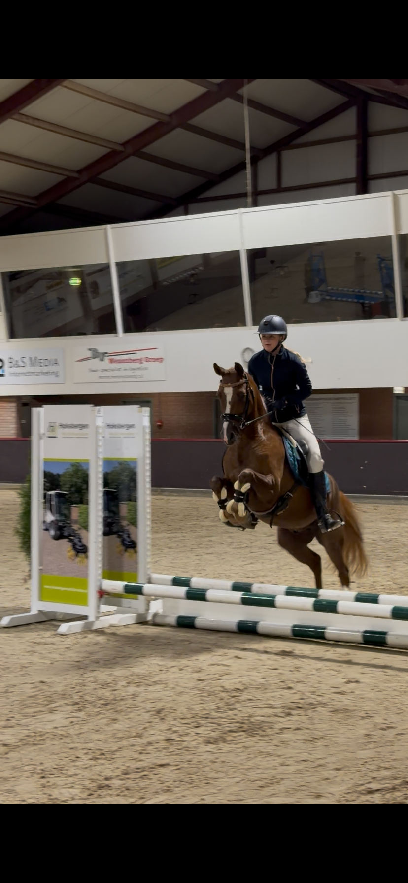 nrps allround-pony ruin 4 år vos till salu - Foto 6