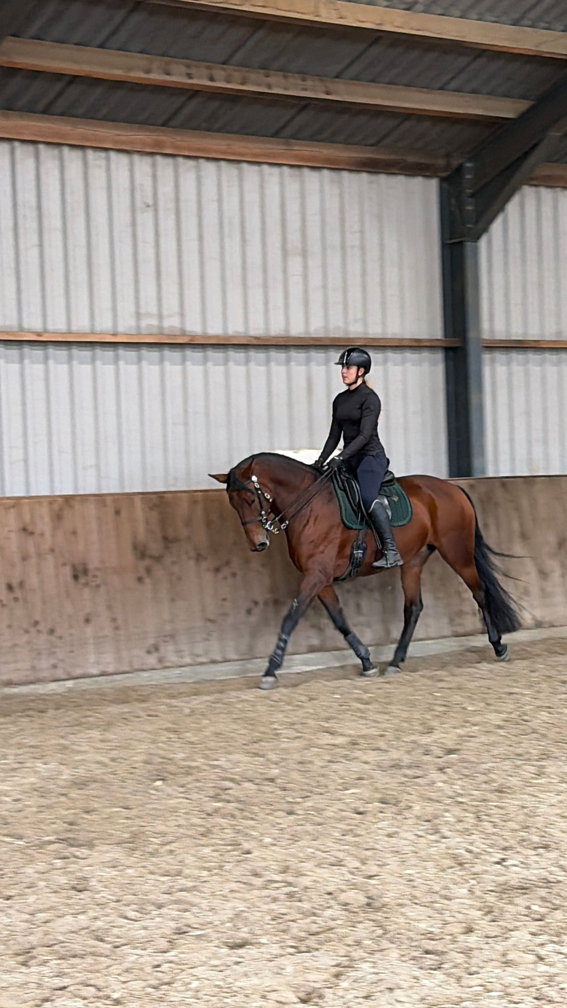 lusitano dressuurpaard merrie 9 años kastanje en venta - Foto 2