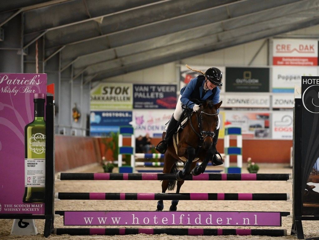 ander springpony ruin 9 år bruin till salu - Foto 2