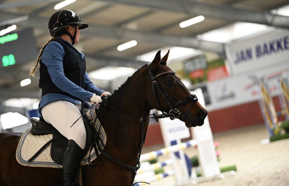 ander springpony ruin 9 år bruin till salu - Foto 6
