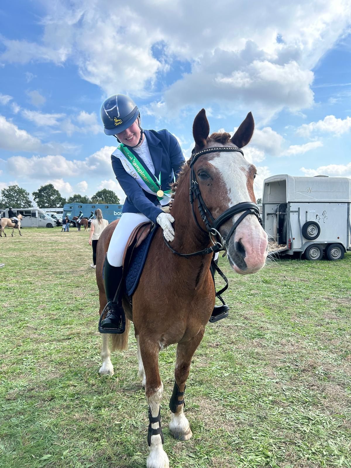 Zeer MOOIE allround pony