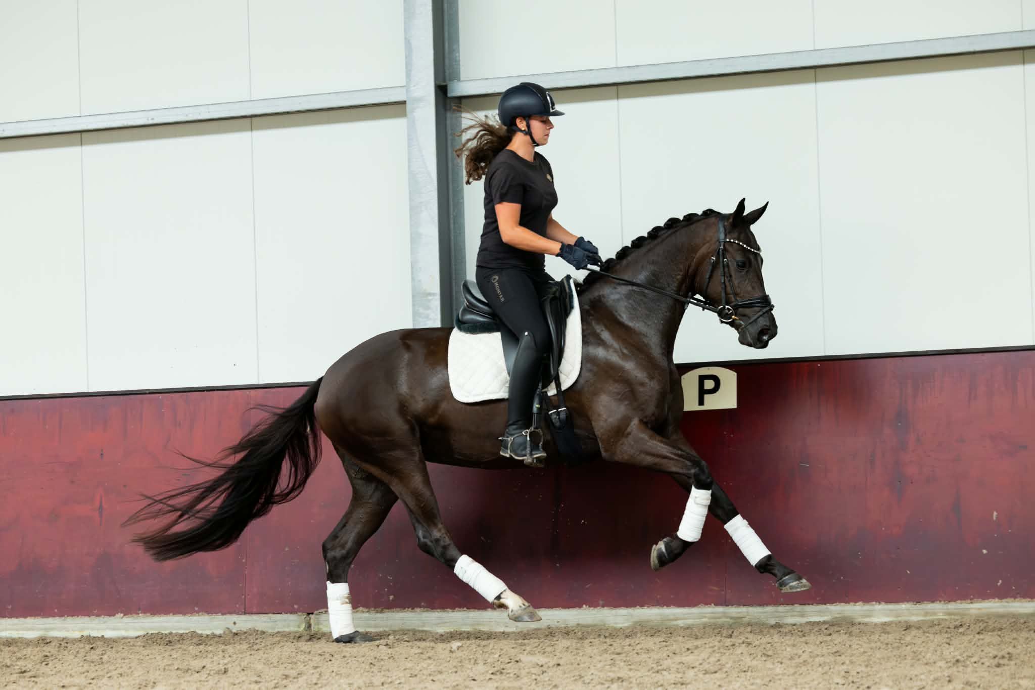 kwpn dressuurpaard merrie 3 jaar zwart te koop - Foto 3