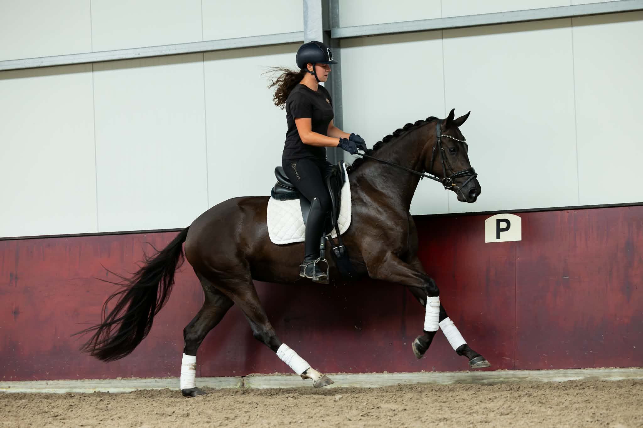 kwpn dressuurpaard merrie 3 jaar zwart te koop - Foto 6