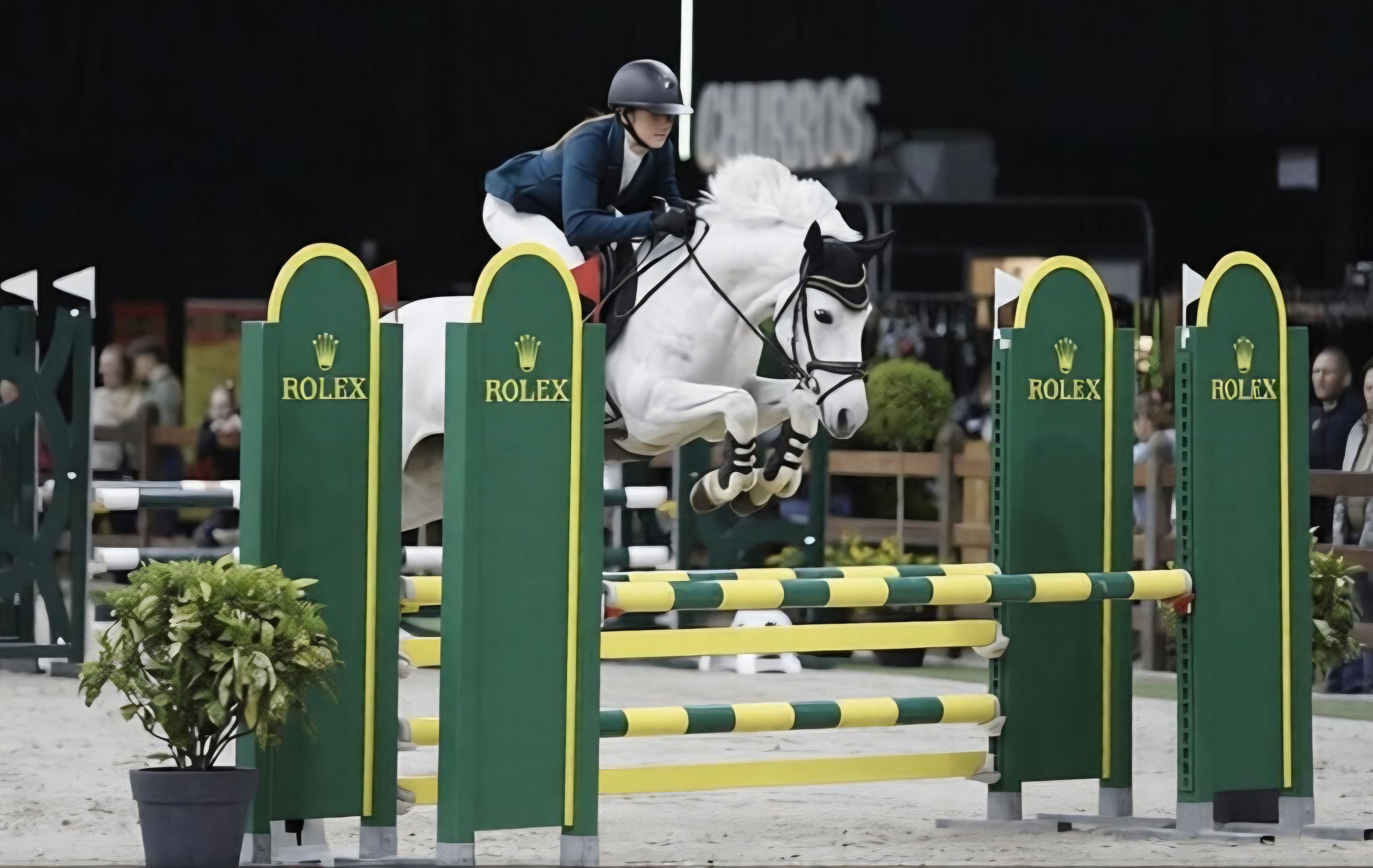Skočí všechno a vždy. Velký D vítězný pony, parkur M a všestrannost M