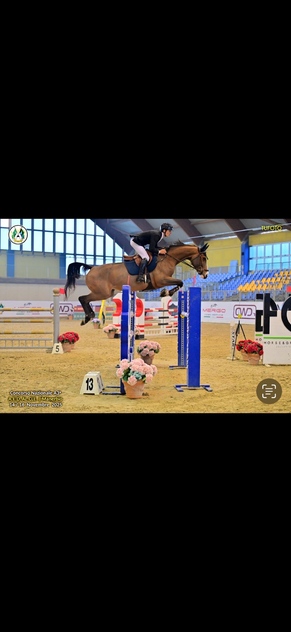 hanovarian springpaard merrie 10 anos bruin à venda - Foto 3
