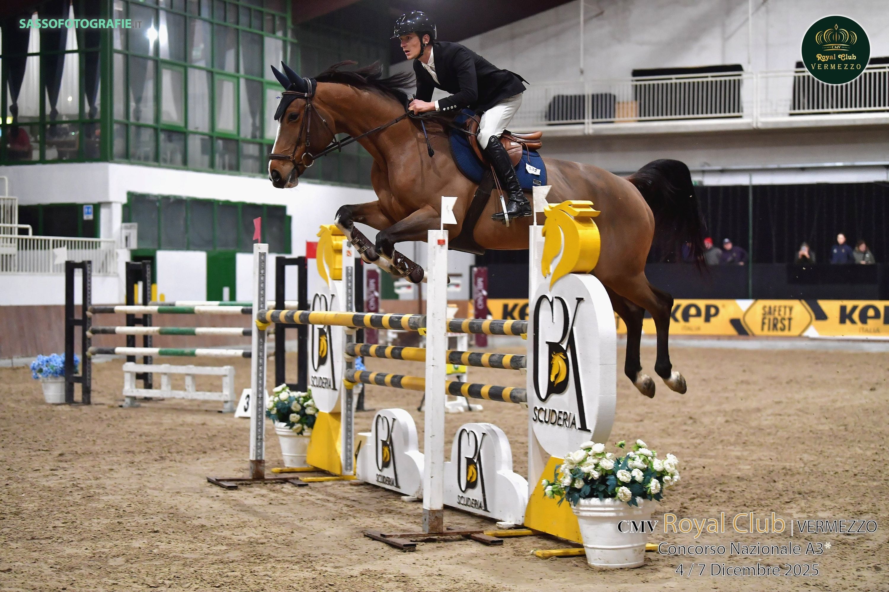 hanovarian springpaard merrie 10 anos bruin à venda - Foto 2