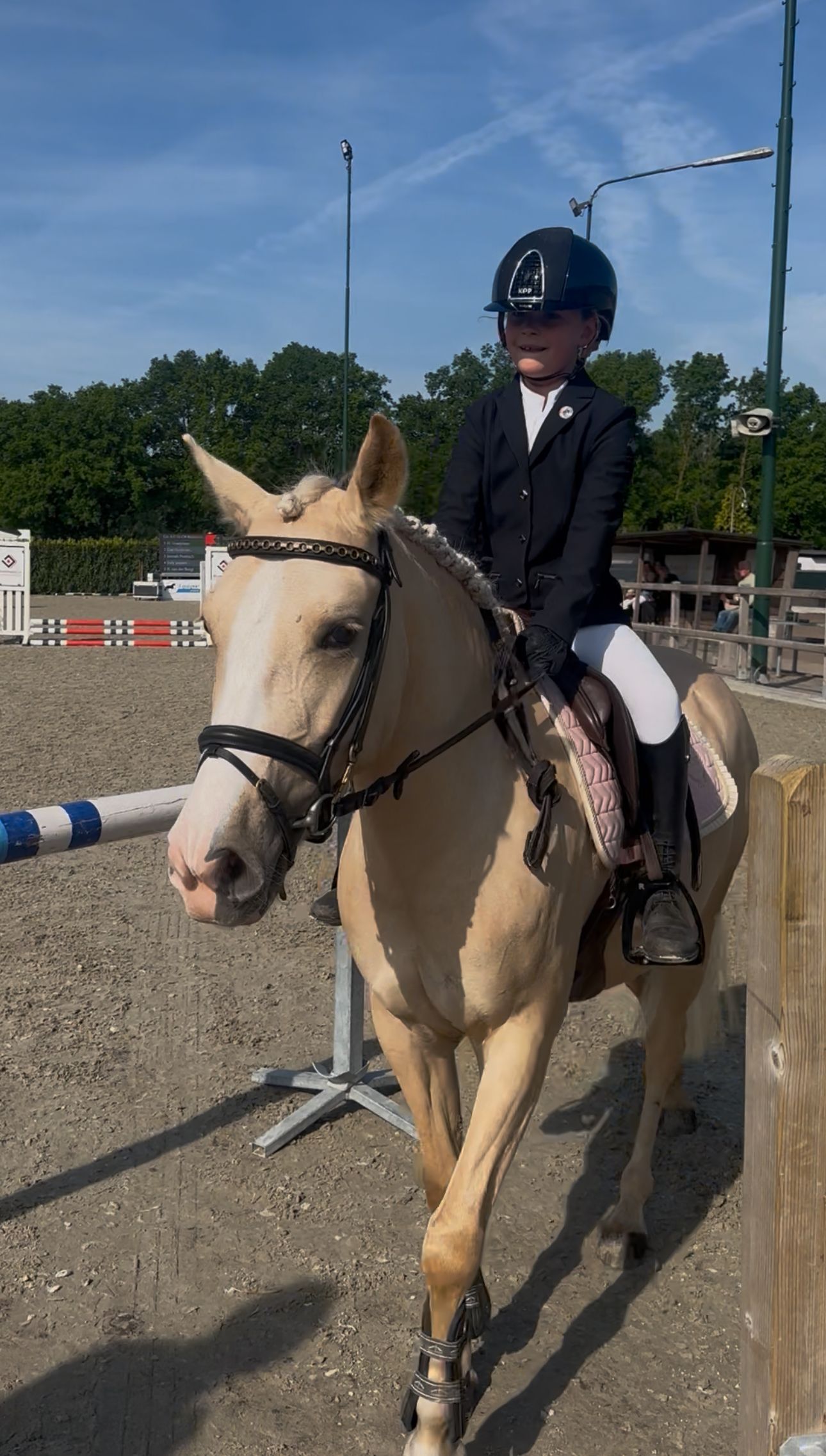 anglo-europees allround-pony merrie 4 años palomino en venta - Foto 2