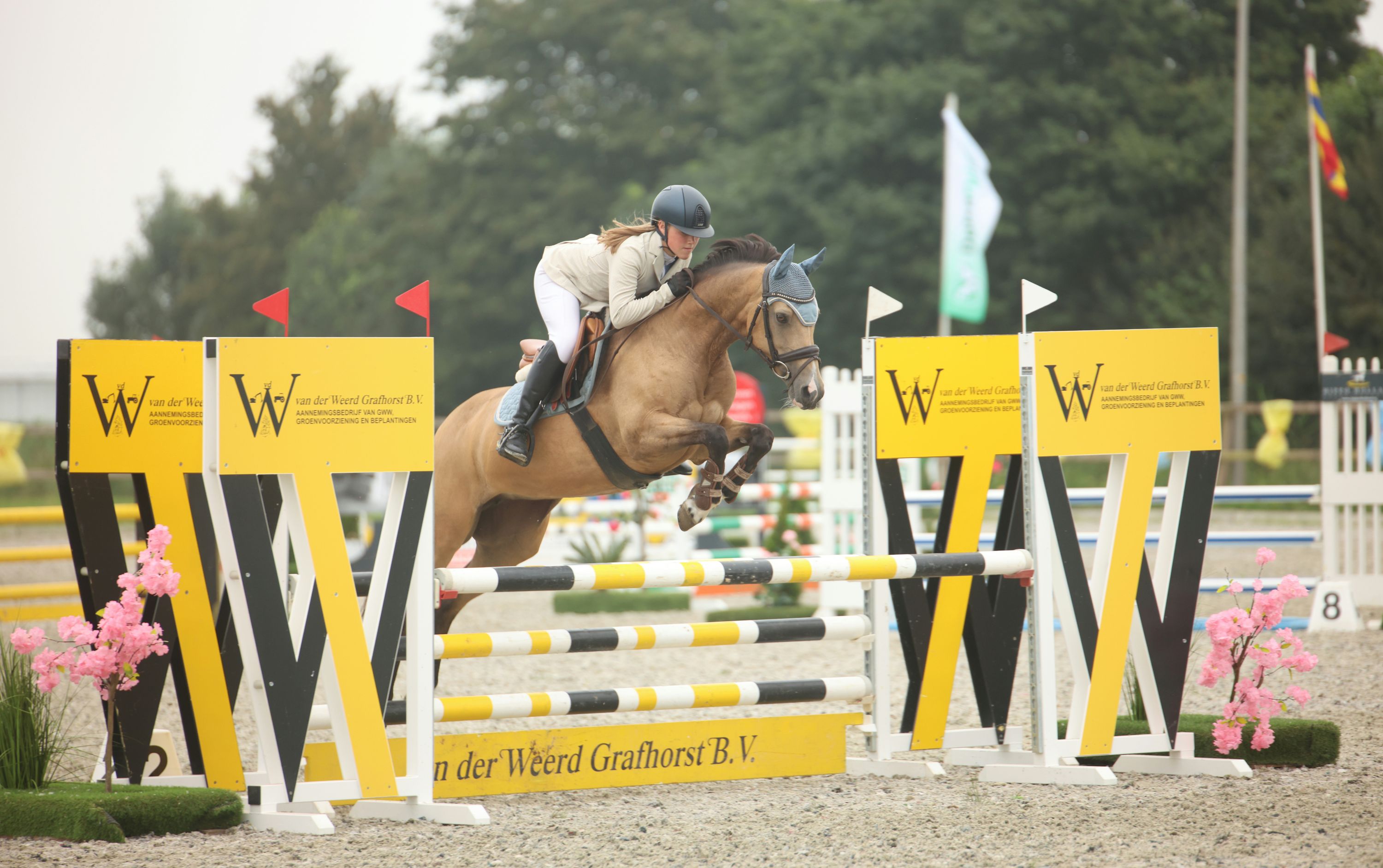welsh allround-pony merrie 13 år andere-kleur till salu - Foto 6