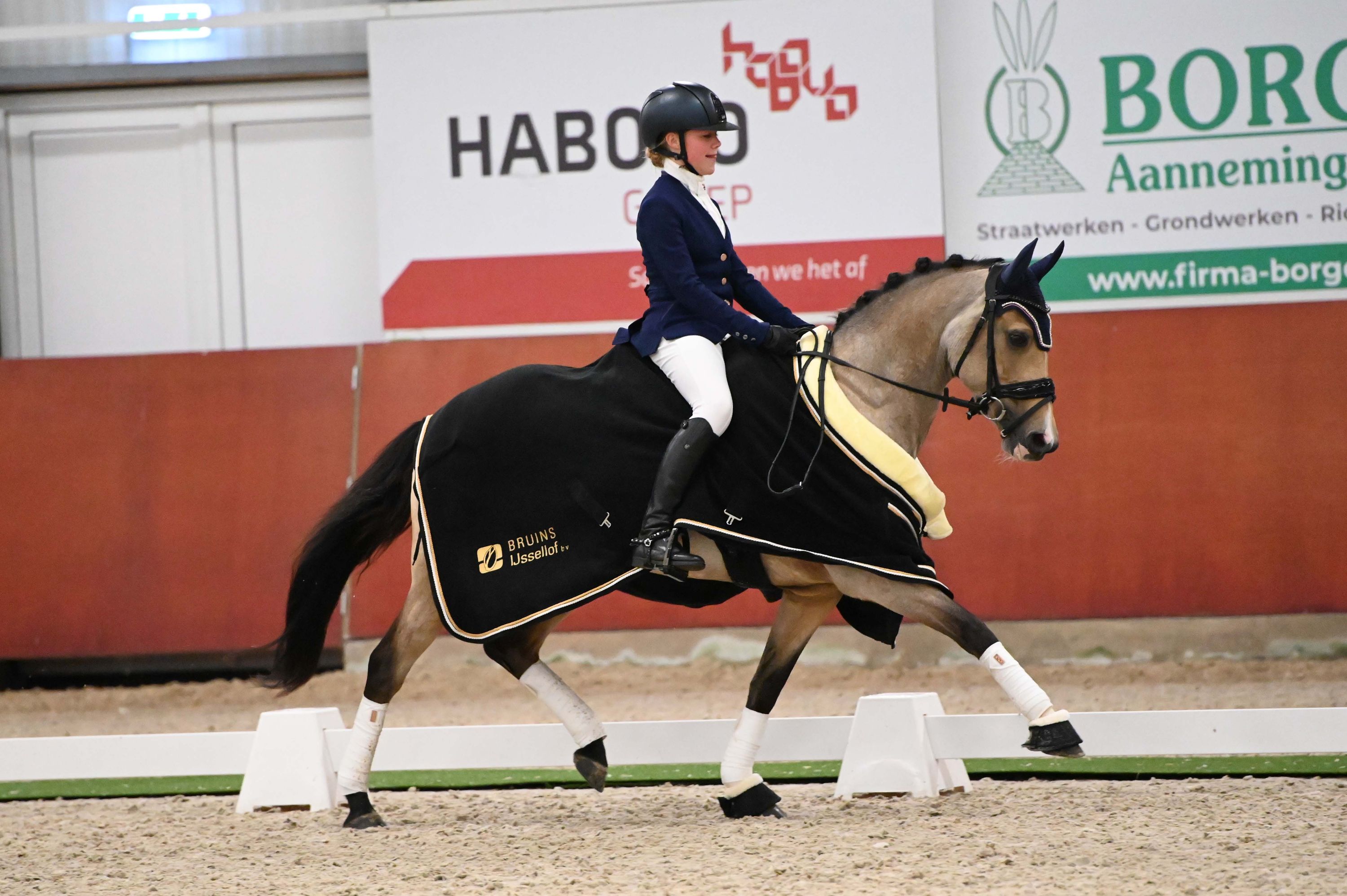 welsh allround-pony merrie 13 år andere-kleur till salu - Foto 5