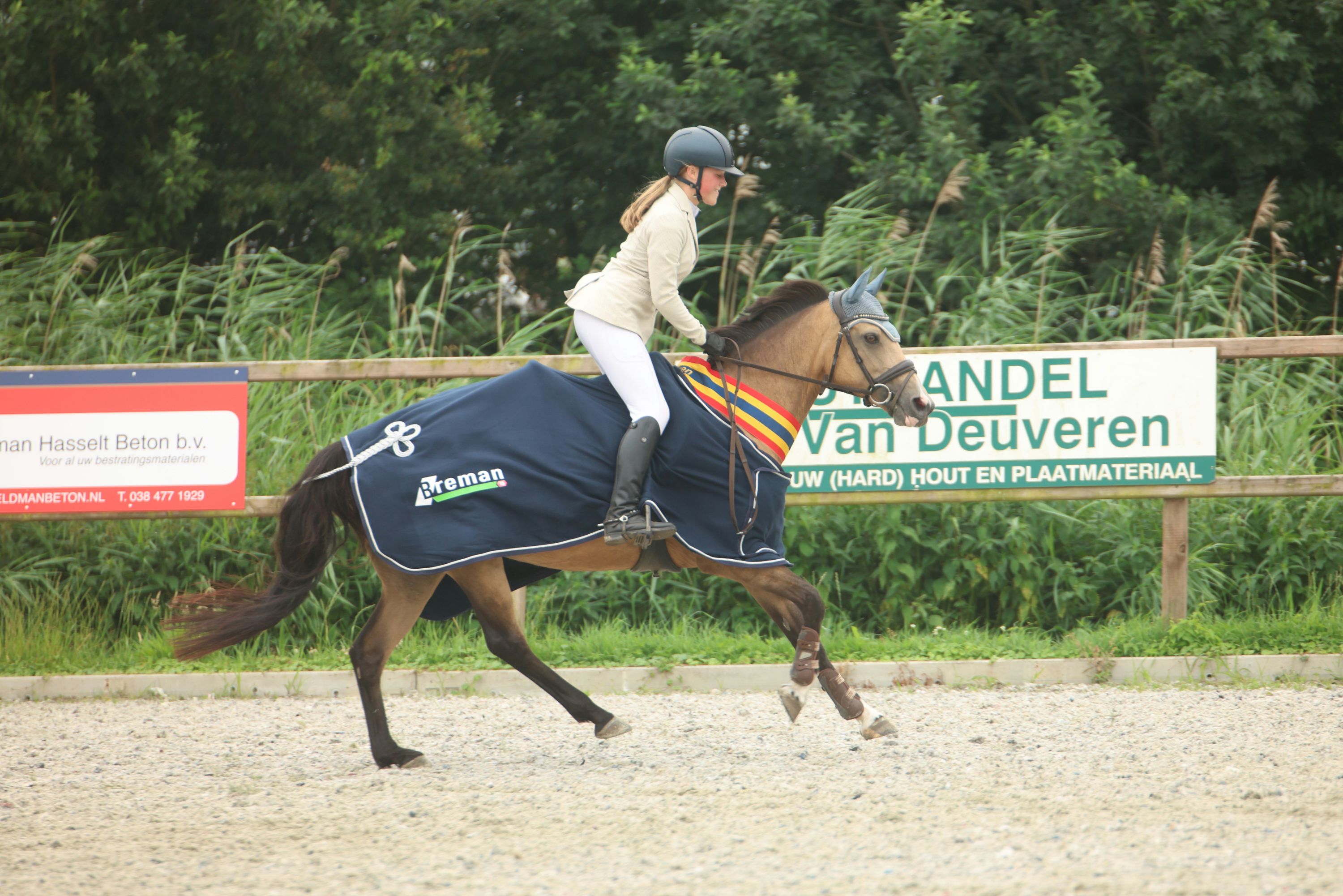 Great All-round Schoolmaster