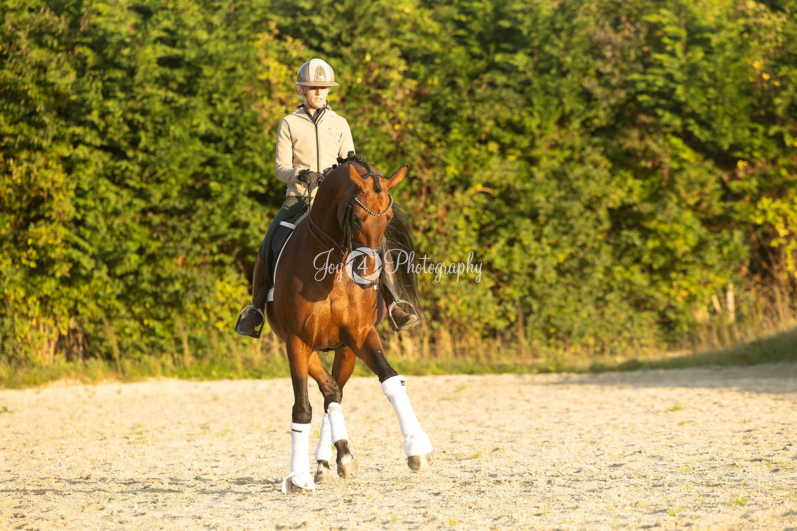 kwpn dressuurpaard merrie 8 år bruin till salu - Foto 4