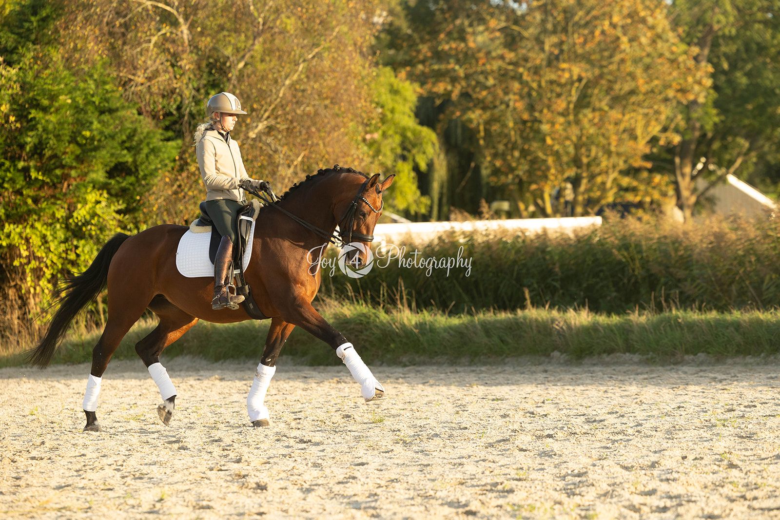 kwpn dressuurpaard merrie 8 år bruin till salu - Foto 6