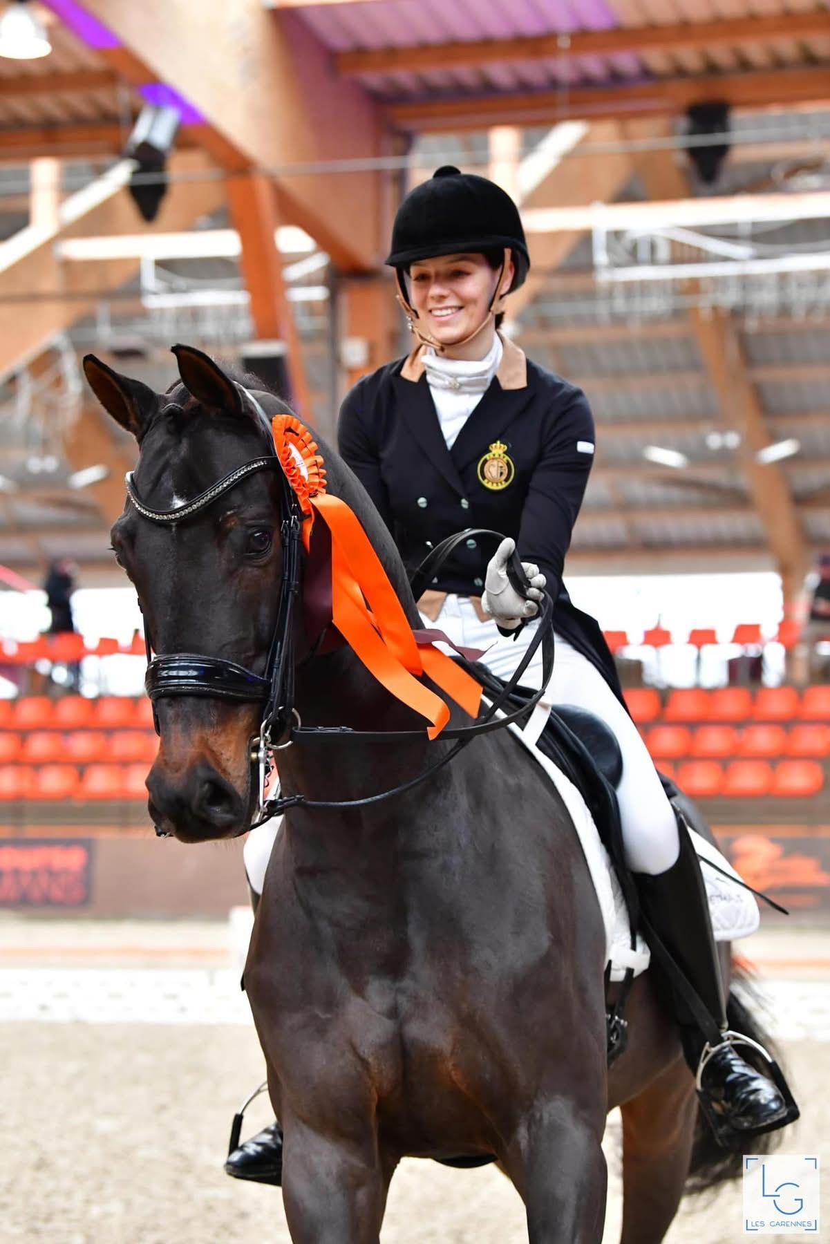 kwpn dressuurpaard ruin 17 år donkerbruin til salgs - Hovedfoto