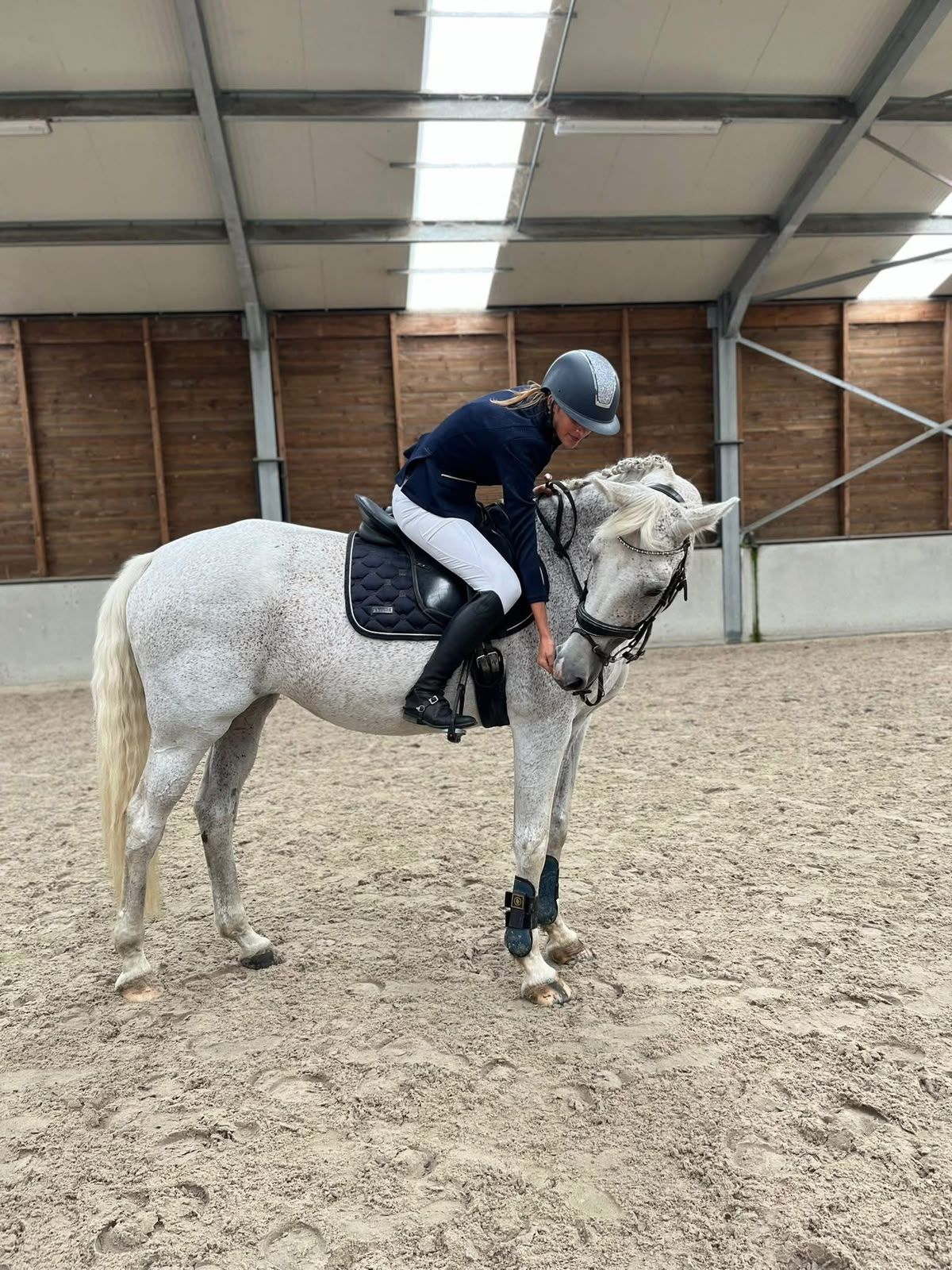 bwp recreatie-paard merrie 20 años schimmel en venta - Foto 2