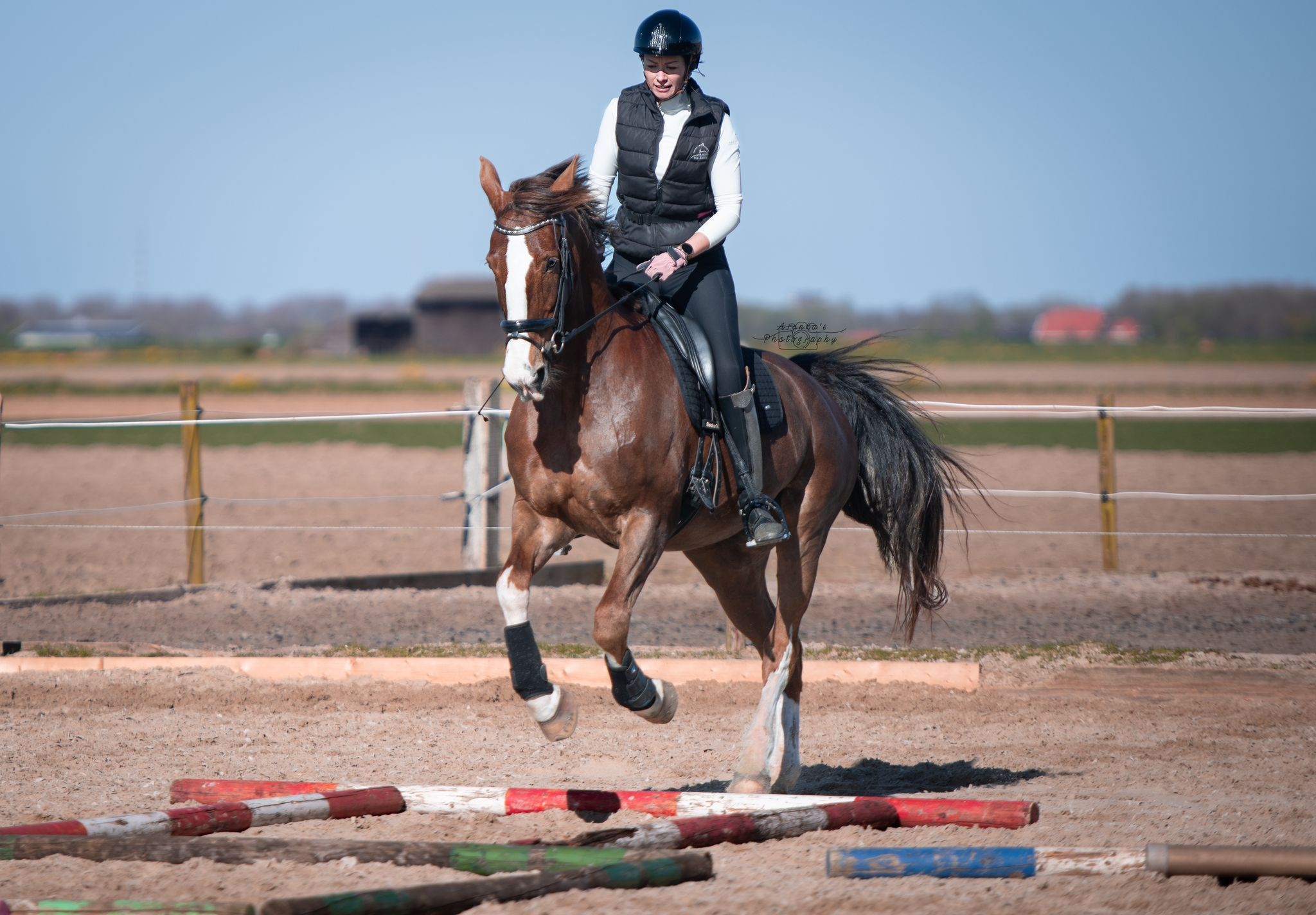 kwpn dressuurpaard merrie 13 let vos na prodej - Foto 3