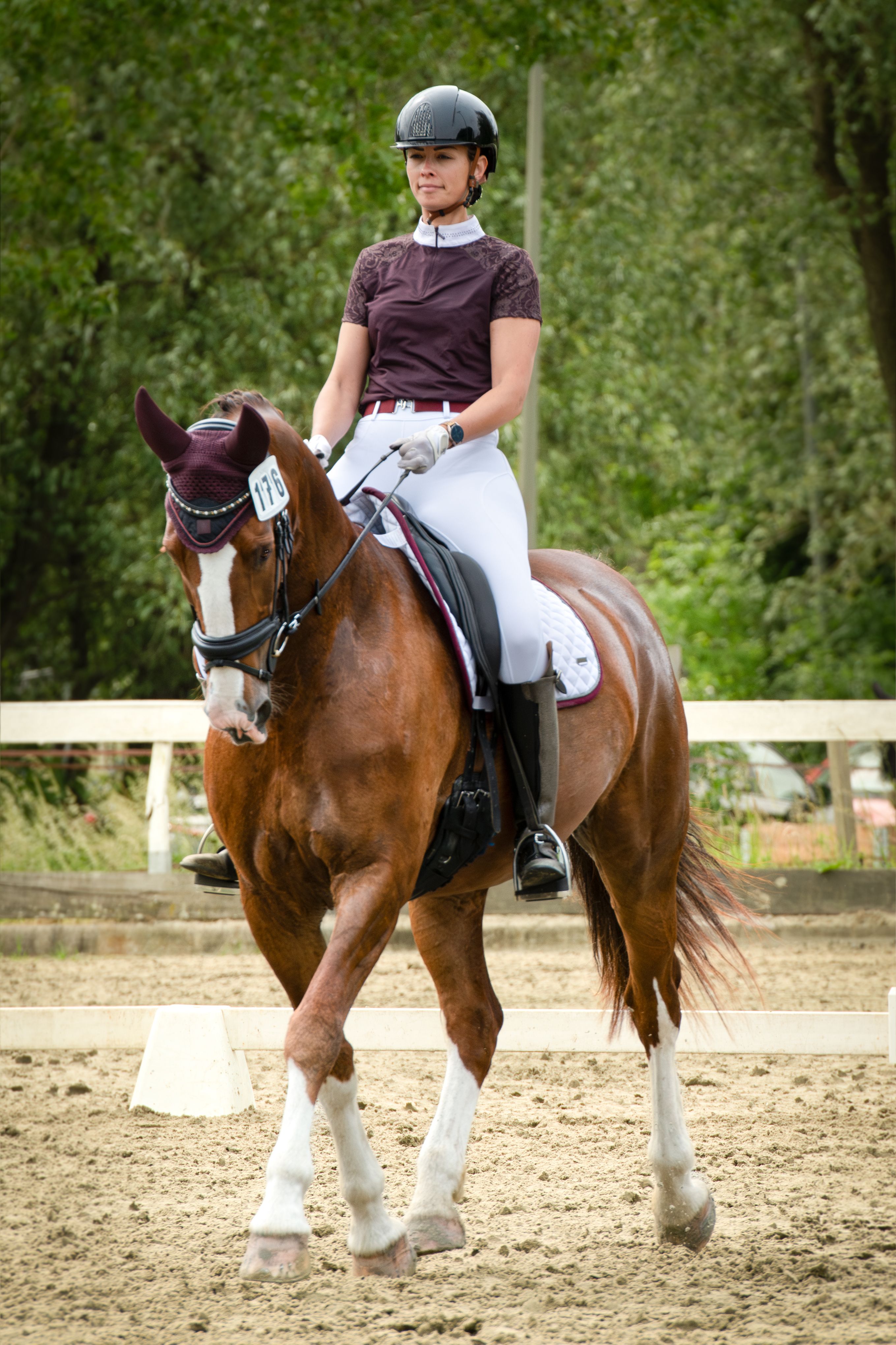 kwpn dressuurpaard merrie 13 let vos na prodej - Foto 4