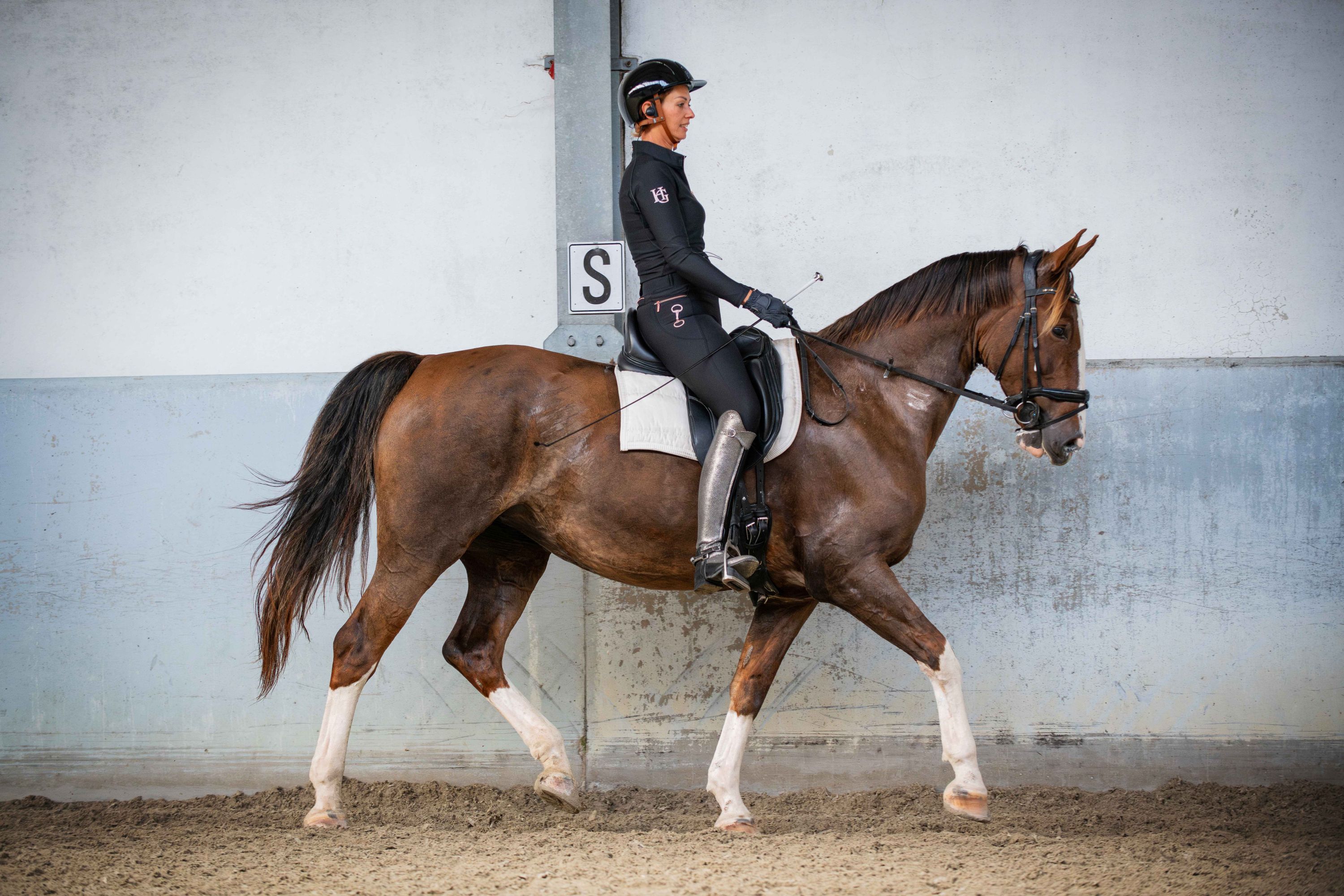 kwpn dressuurpaard merrie 13 let vos na prodej - Foto 6