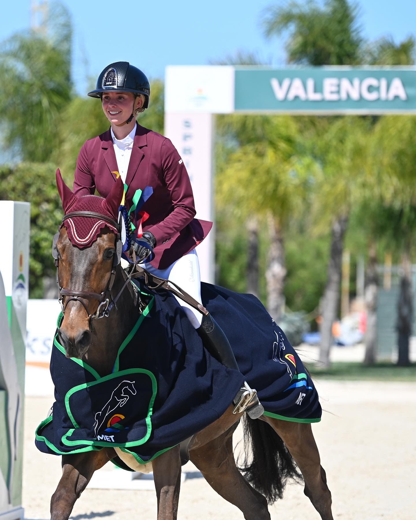 anglo-europees springpaard merrie 14 سنوات donkerbruin للبيع - صورة 5