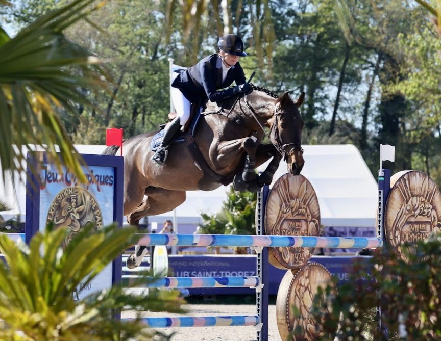 anglo-europees springpaard merrie 14 سنوات donkerbruin للبيع - صورة 4
