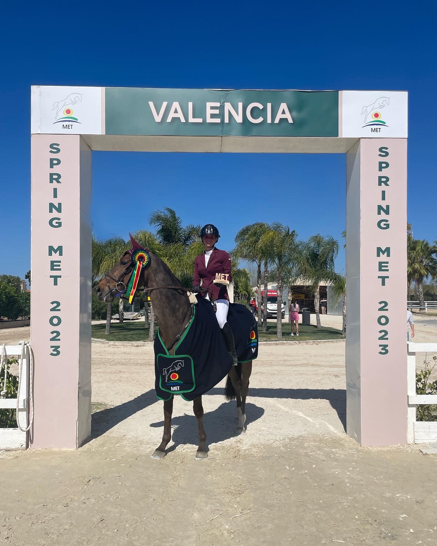 anglo-europees springpaard merrie 14 سنوات donkerbruin للبيع - صورة 6