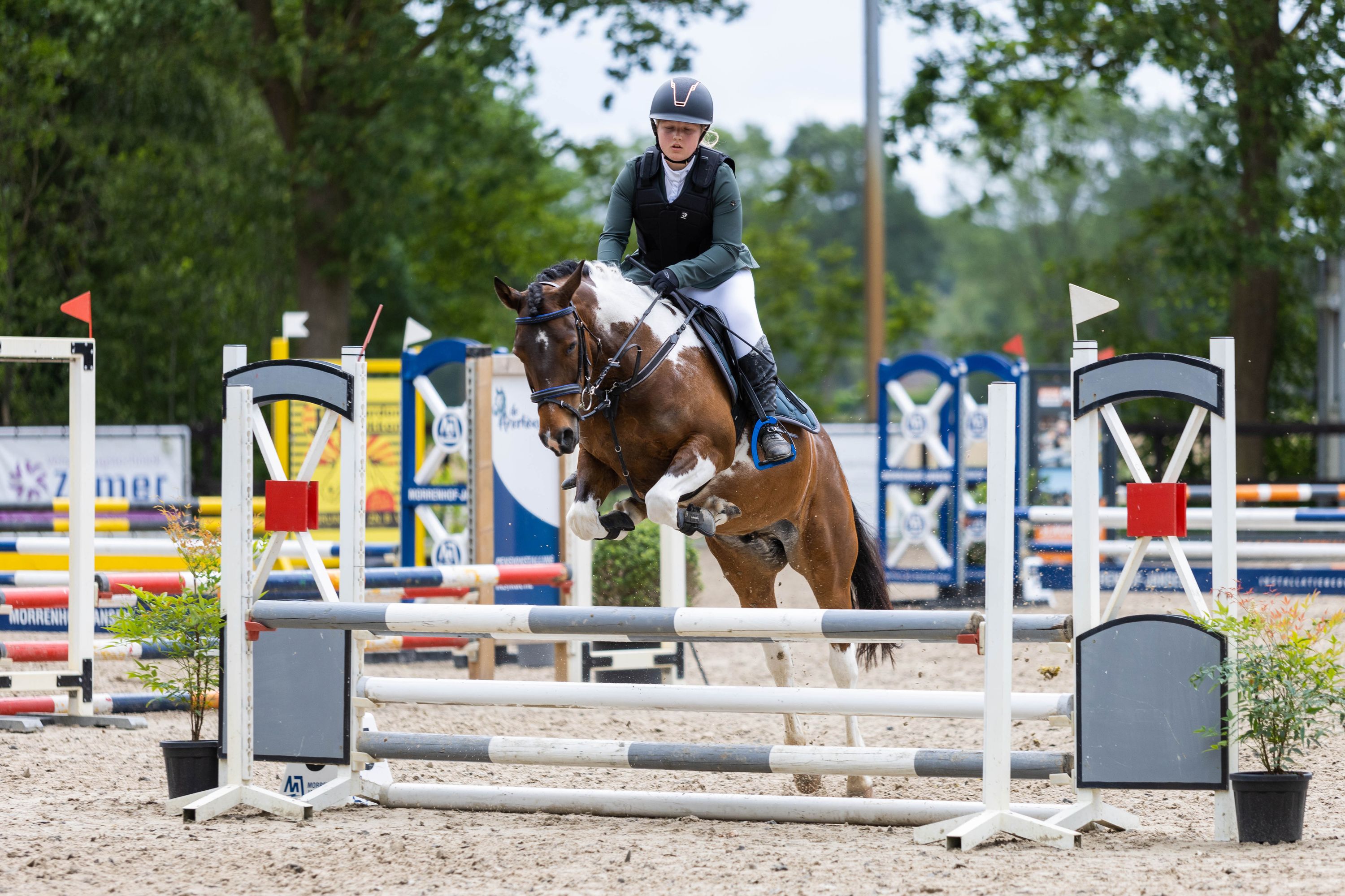 allround-pony ruin 7 years old andere-kleur for sale - Photo 6