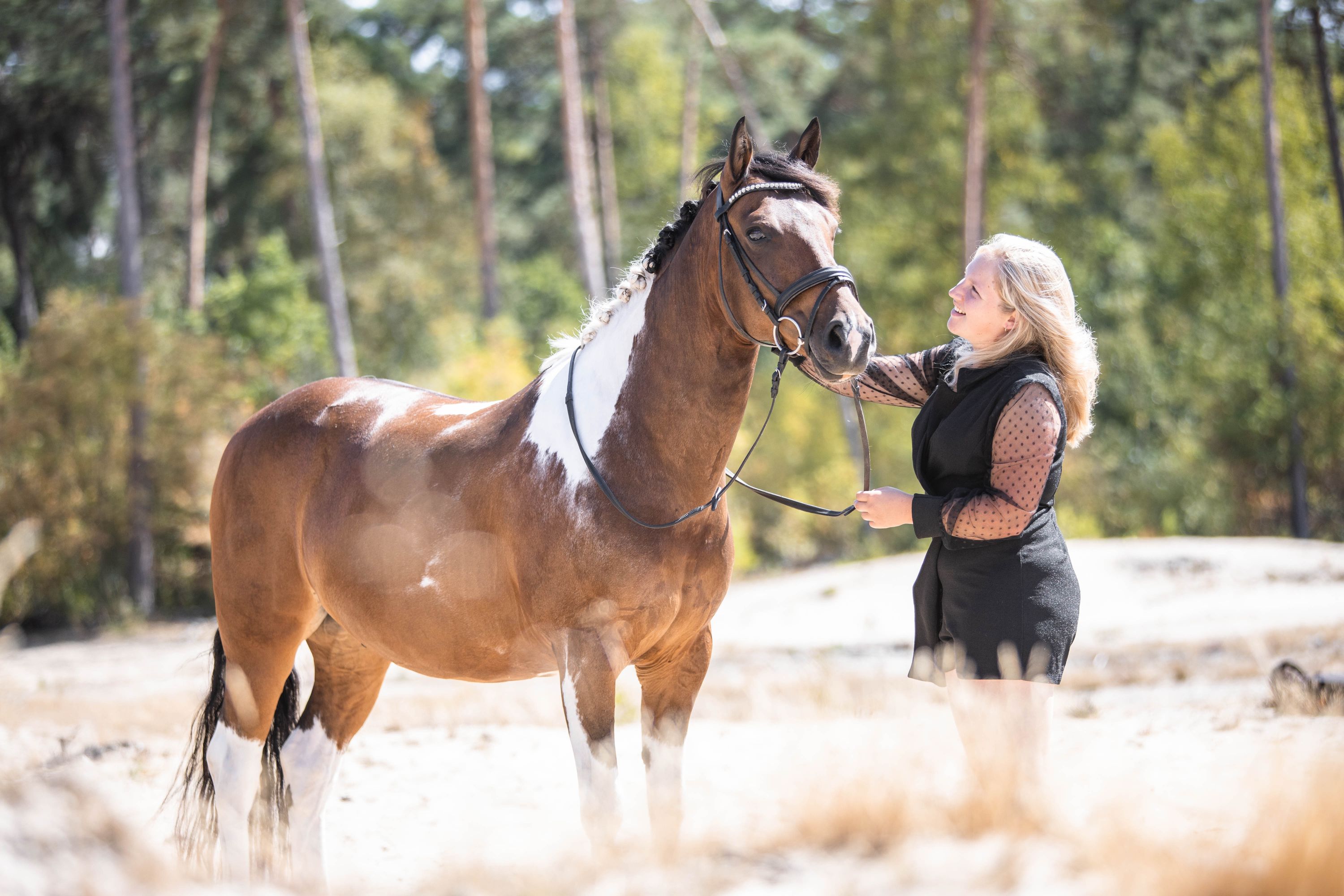allround-pony ruin 7 years old andere-kleur for sale - Photo 2