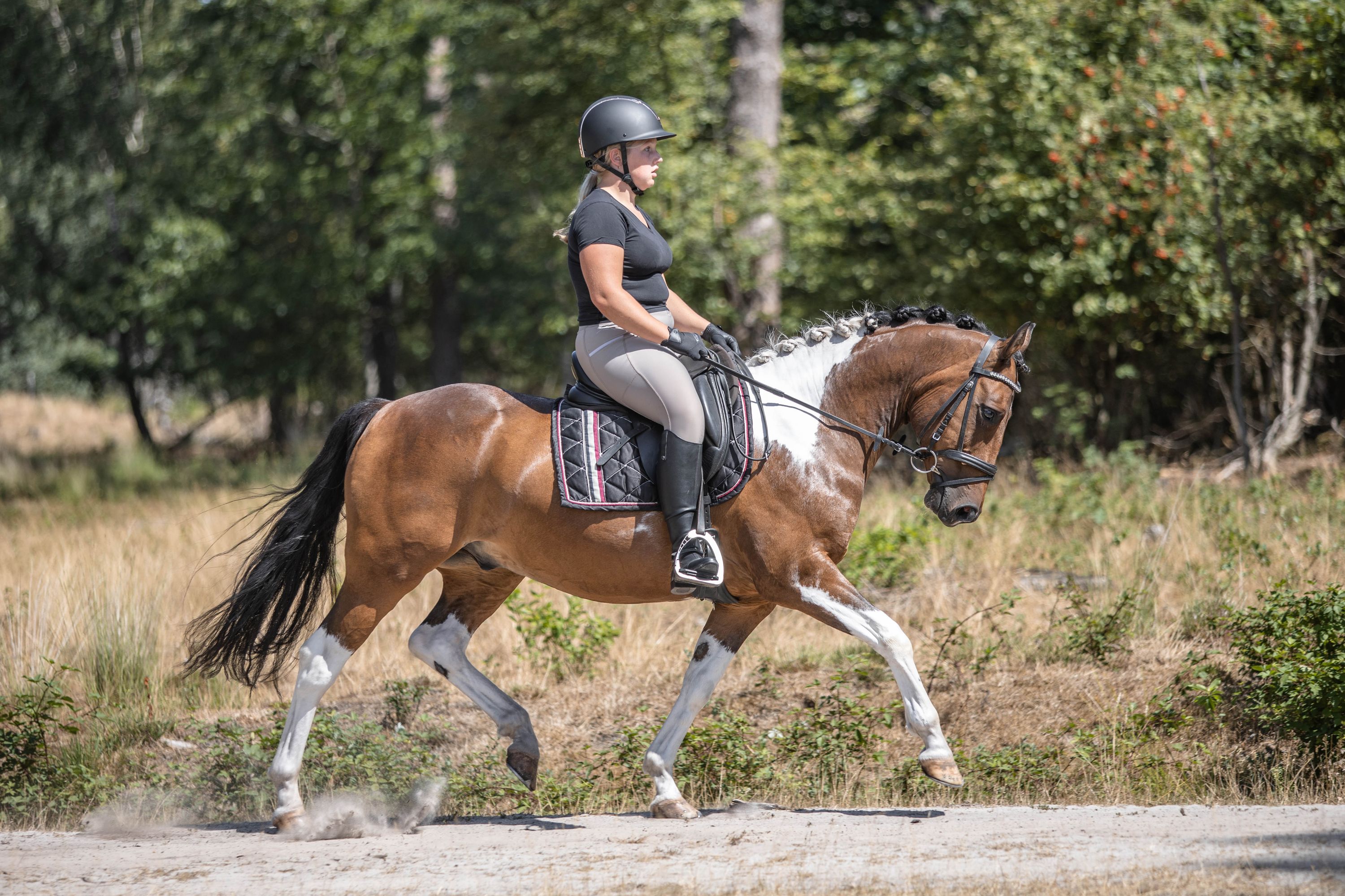 allround-pony ruin 7 years old andere-kleur for sale - Photo 5