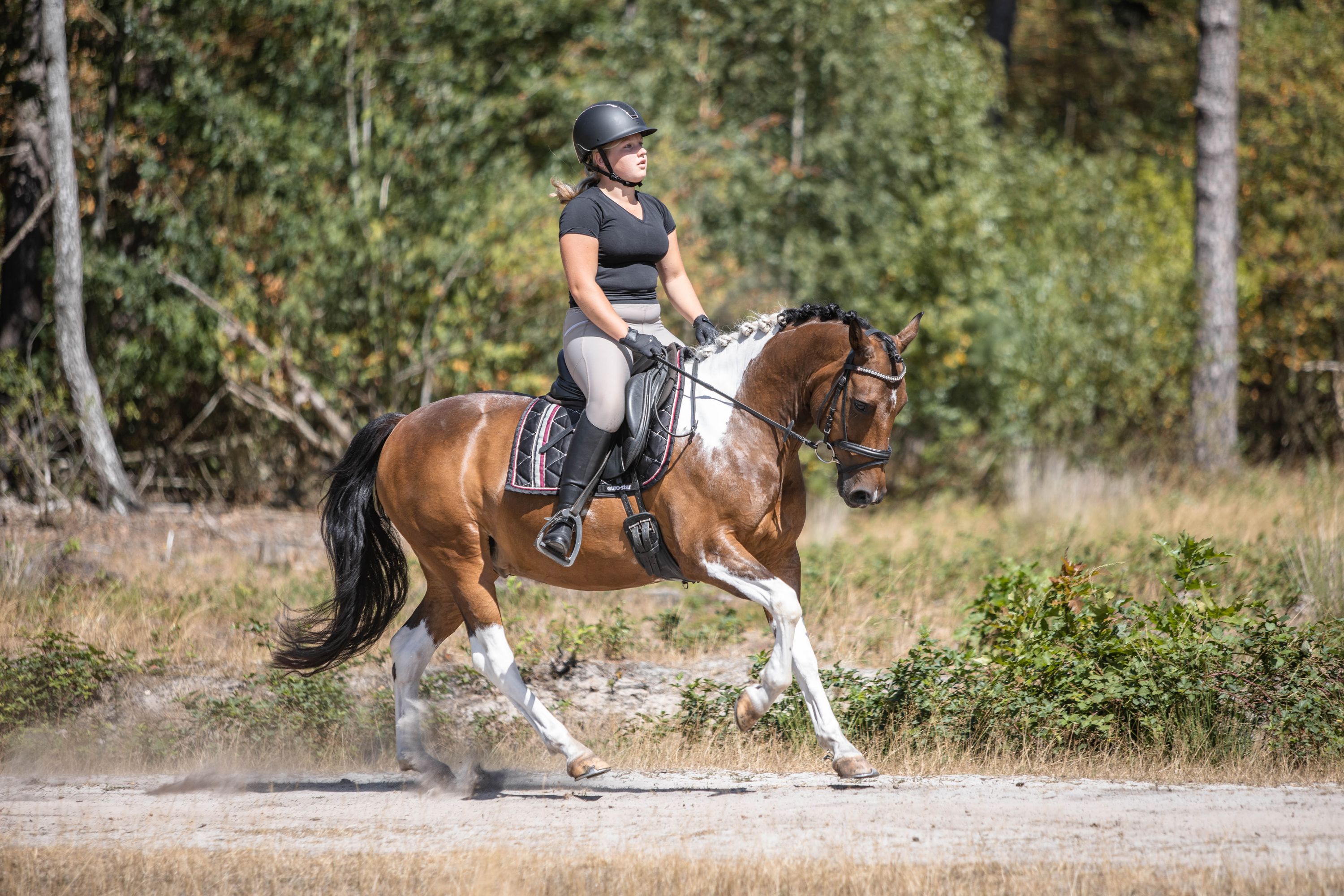 allround-pony ruin 7 years old andere-kleur for sale - Photo 4