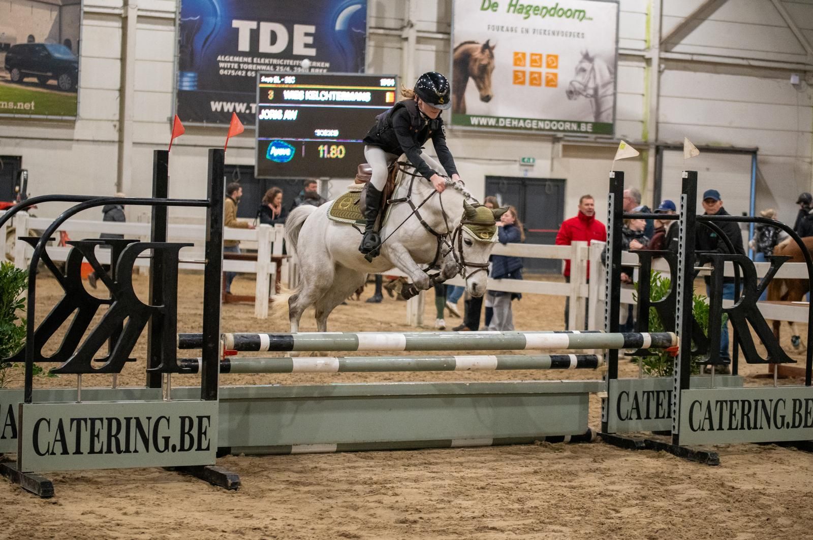 B-pony