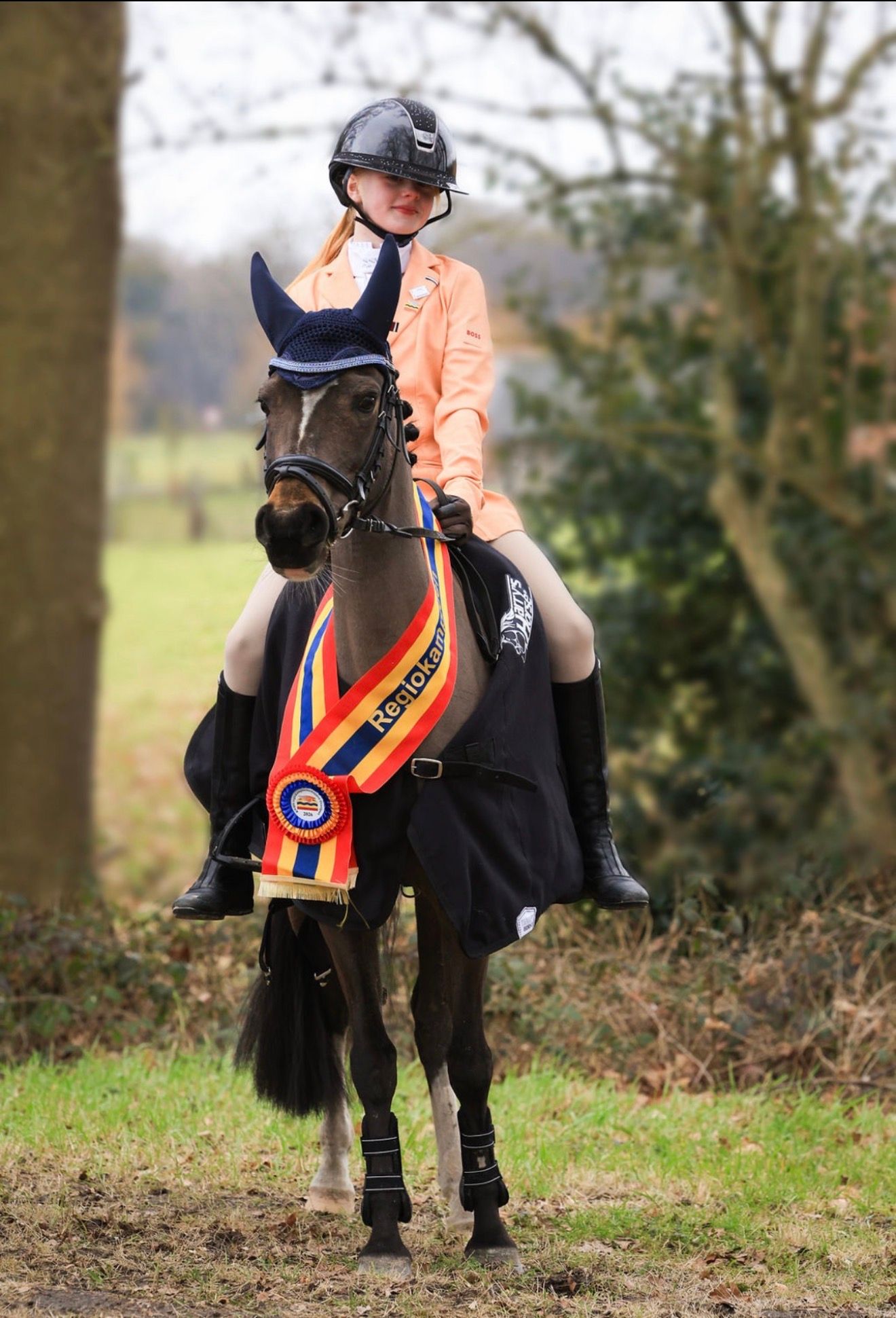 welsh-cob allround-pony merrie 17 anos andere-kleur à venda - Foto 2