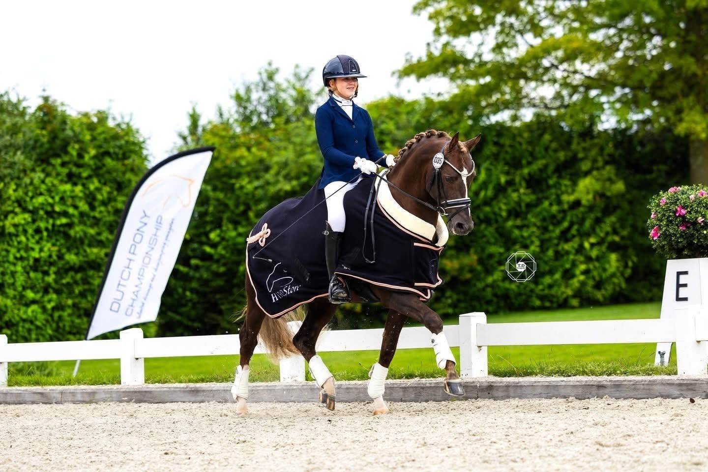 welsh dressuurpony merrie 0 años vos en venta - Foto 5