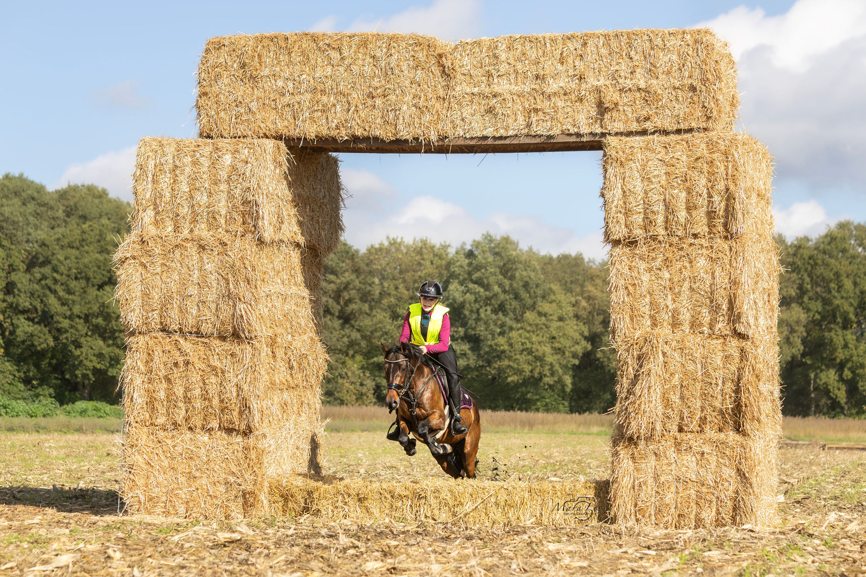 Fine, well-behaved schoolmaster jumping pony