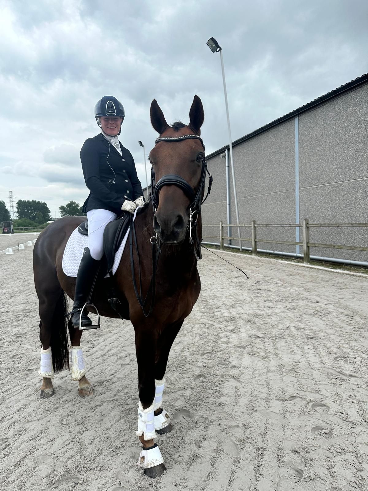rijnlander dressuurpaard ruin 13 år andere-kleur till salu - Foto 2