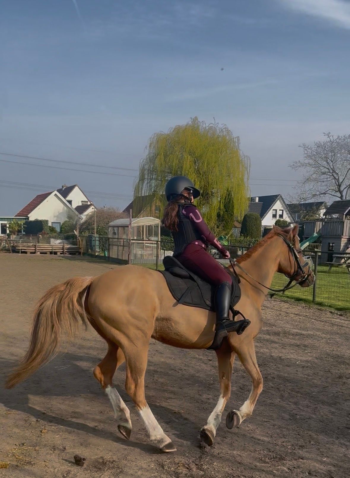Sweet child's pony for sale