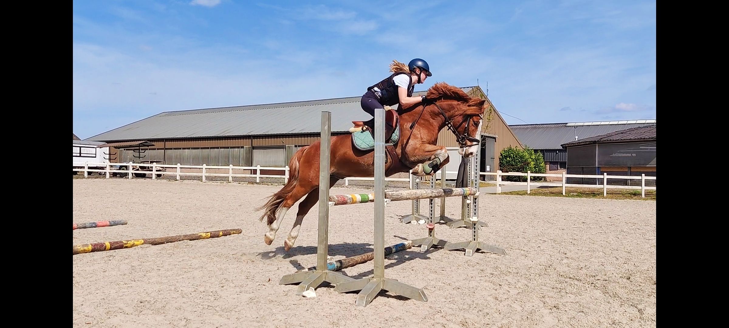 Zeer MOOIE allround pony