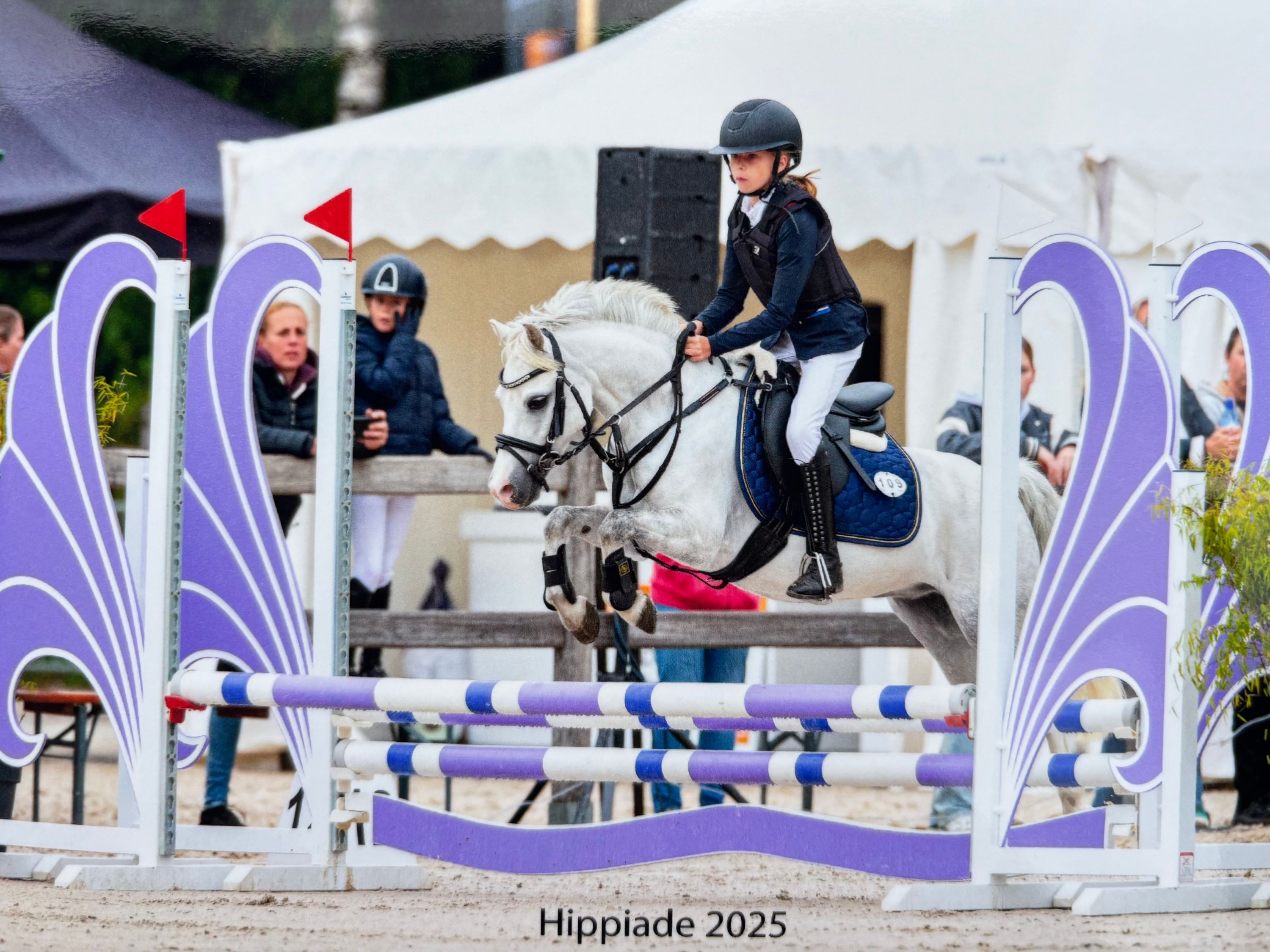 Hbscher, robuster Pony