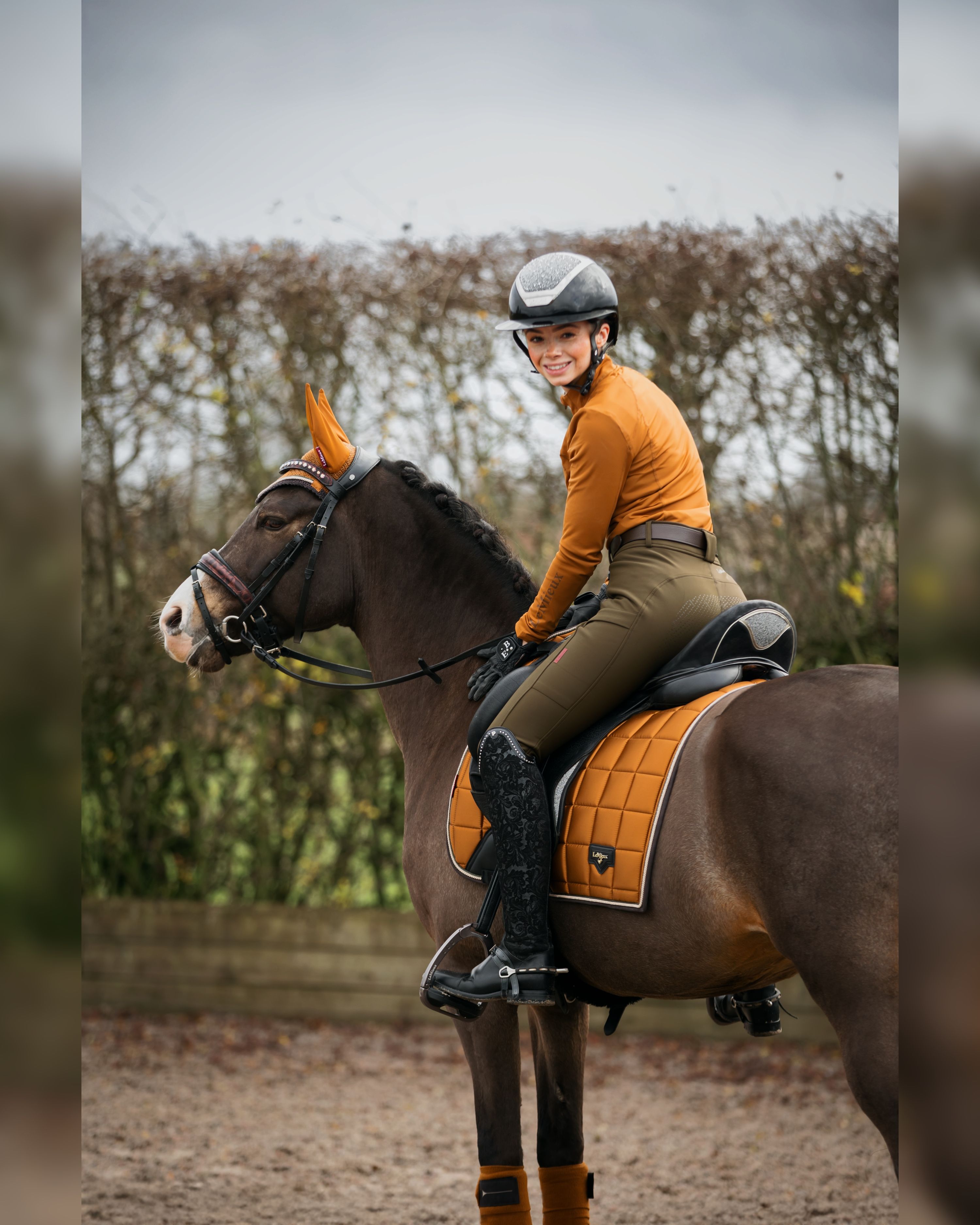 westfalen dressuurpony ruin 9 jaar andere-kleur te koop - Foto 4