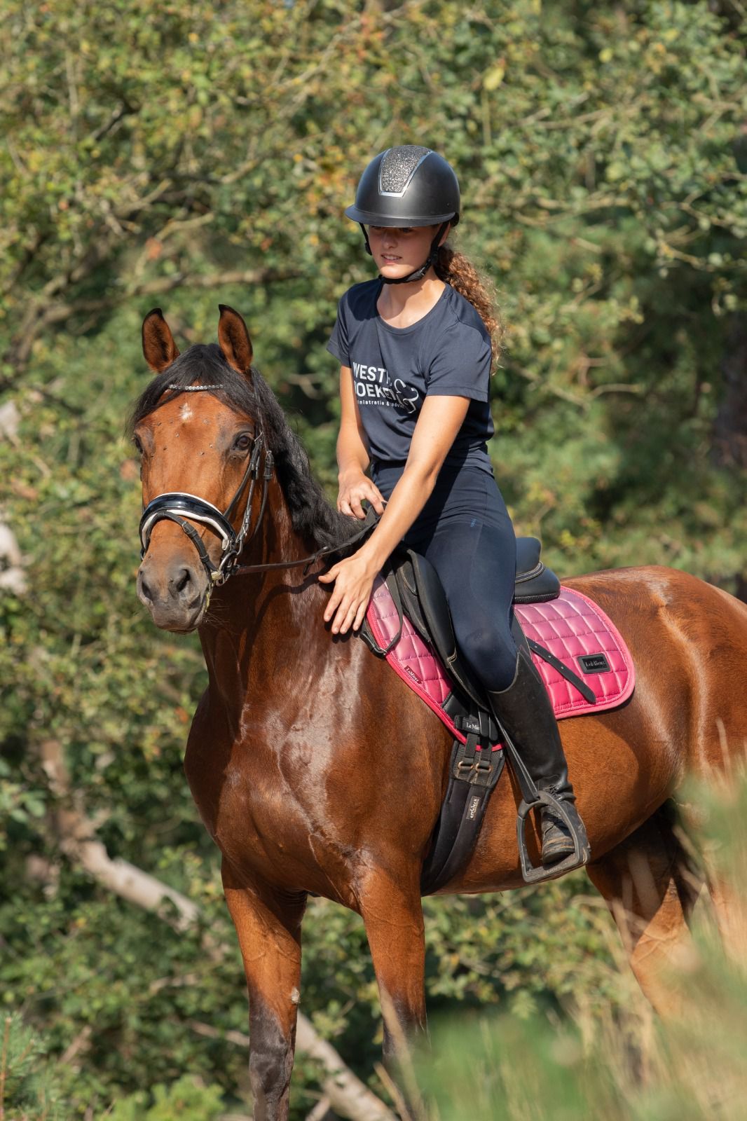 ✨ Lieve, leergierige E-pony Fay zoekt haar nieuwe maatje! ✨