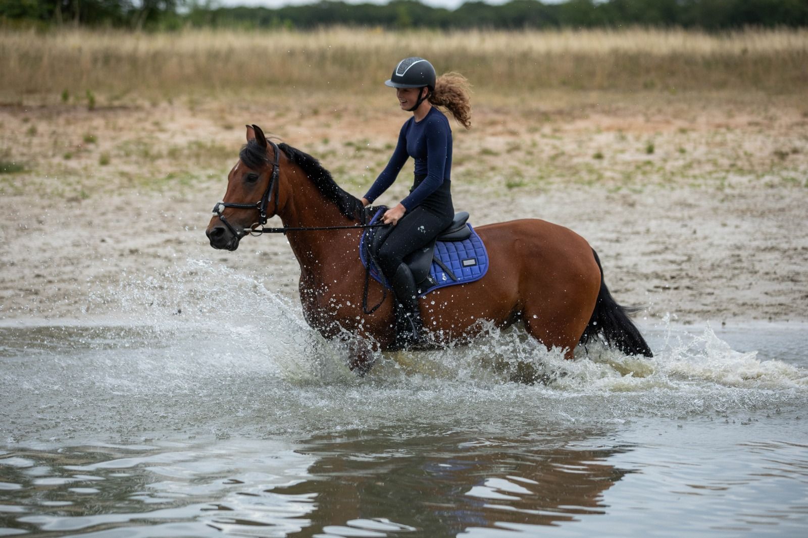 allround-pony merrie 11 jaar donkerbruin te koop - Foto 2