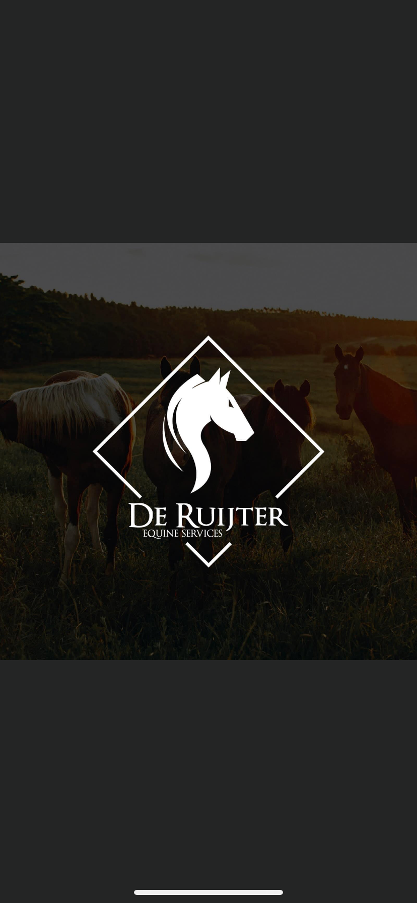 Springpaarden gezocht!