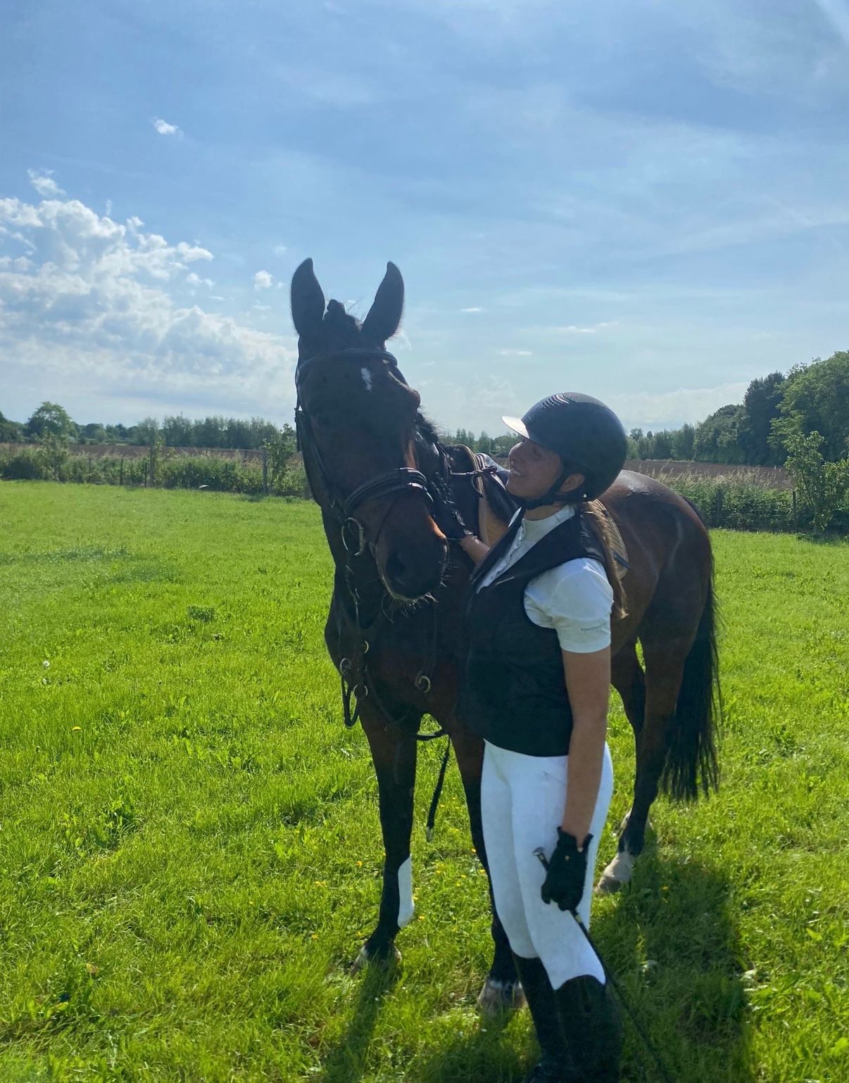 kwpn springpaard ruin 7 Jahre alt donkerbruin zu verkaufen - Foto 2