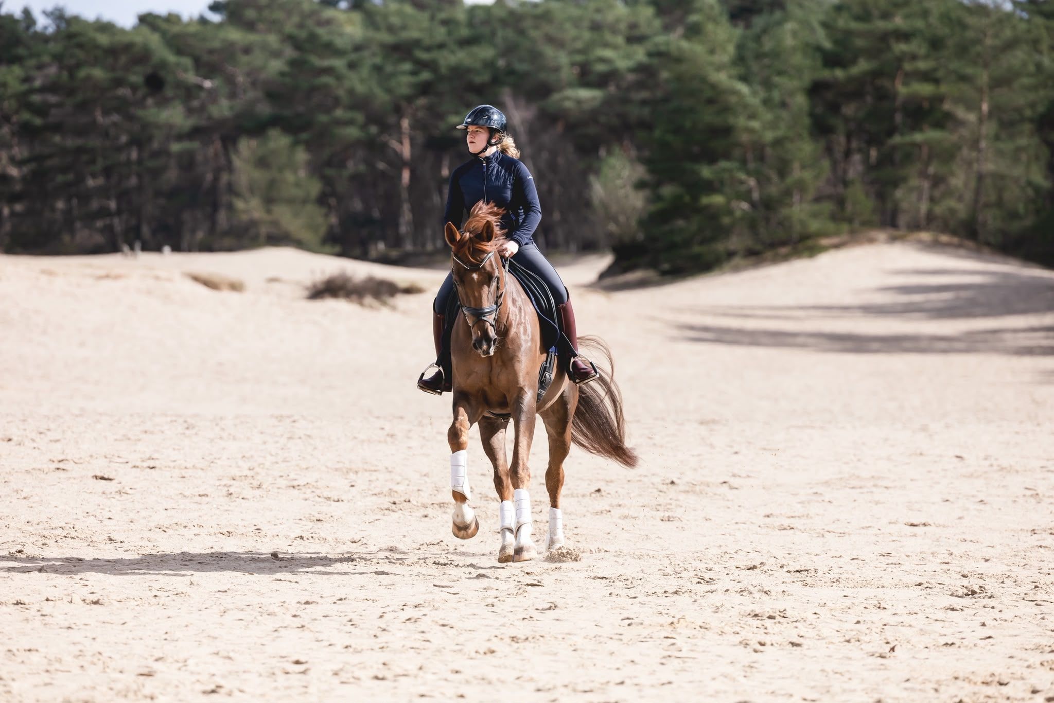 kwpn dressuurpaard merrie 10 years old for sale - Photo 5