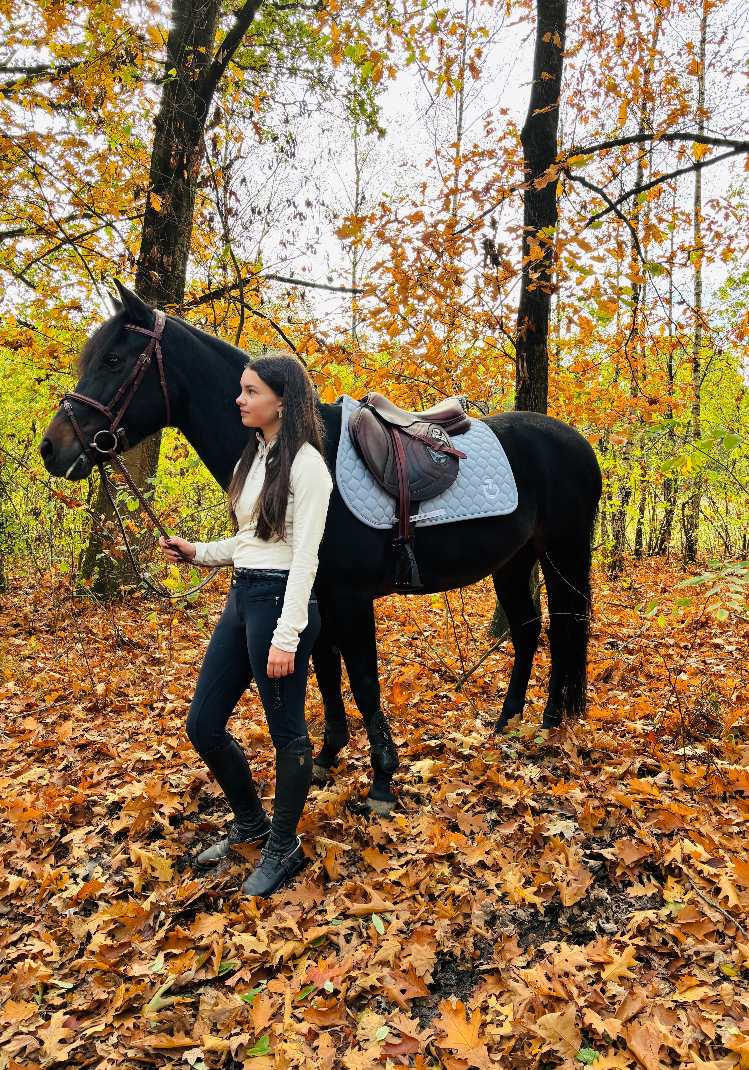 new-forest dressuurpony merrie 16 歳 zwart 売り出し中 - 写真 6