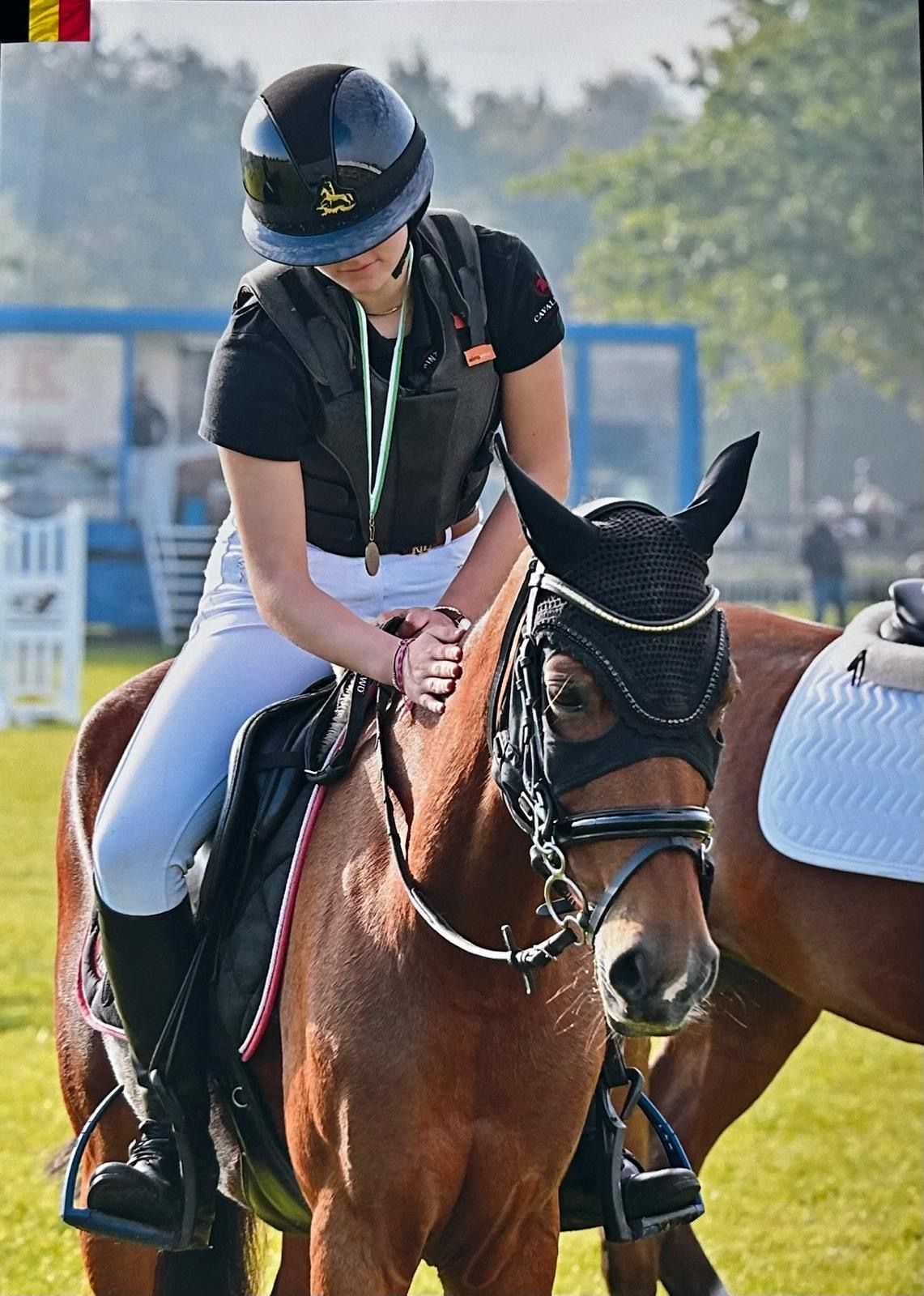 duitse-rijpony allround-pony merrie 11 år bruin till salu - Foto 5