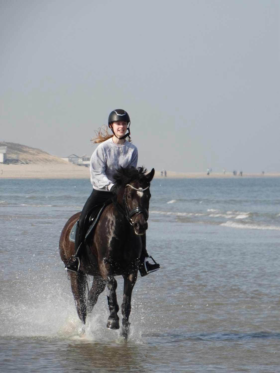 dressuurpony ruin 9 jaar zwart te koop - Foto 3