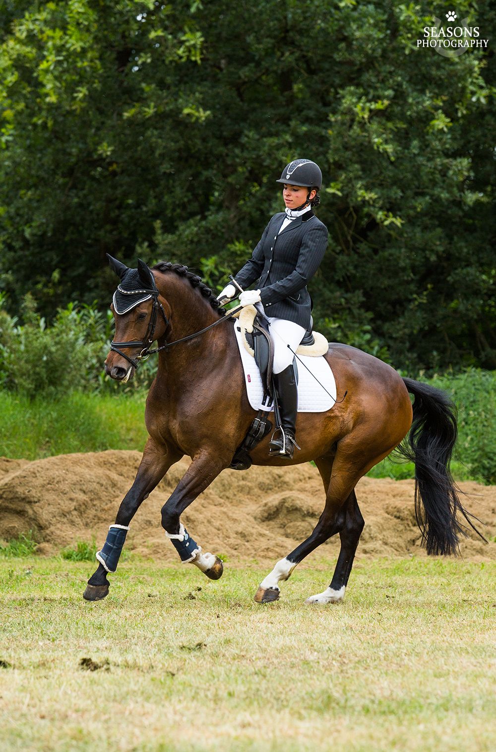kwpn dressuurpaard merrie 14 岁 donkerbruin 出售 - 照片 6